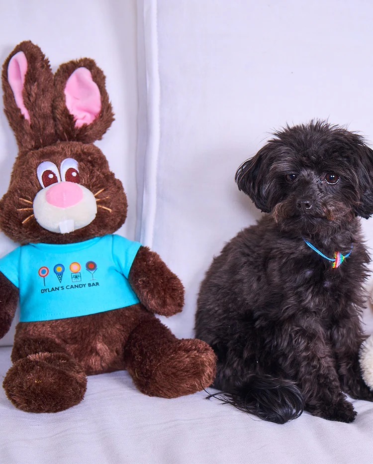Dylan's Candy Bar Chocolate The Bunny® Plush - Image 4