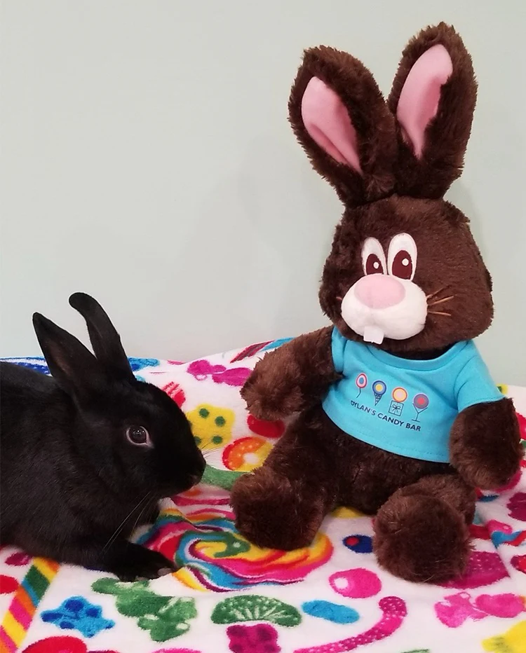 Dylan's Candy Bar Chocolate The Bunny® Plush - Image 5