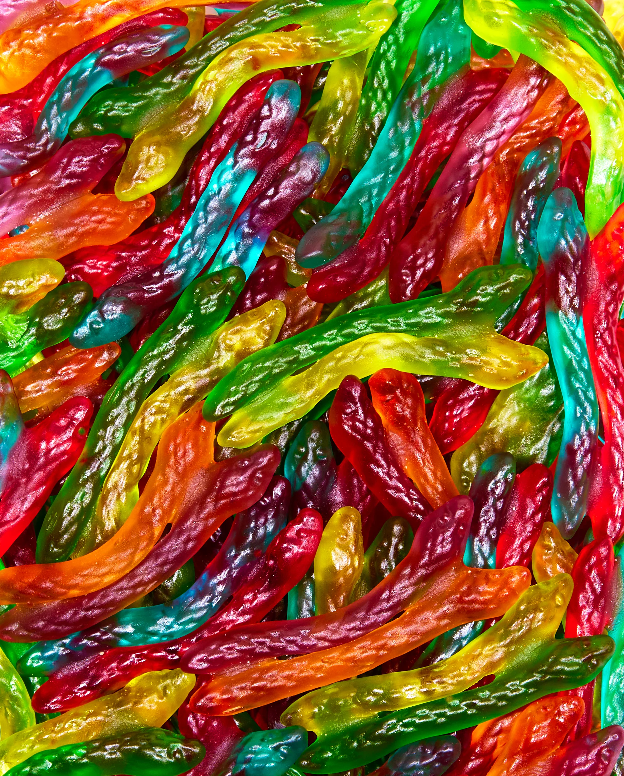 Haribo® Gummy Twin Snakes Bulk Bag - Image 2