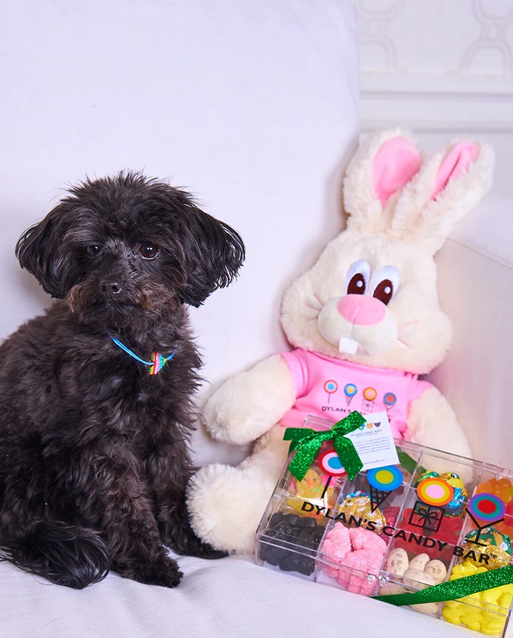 Dylan's Candy Bar Vanilla The Bunny® Plush - Image 4